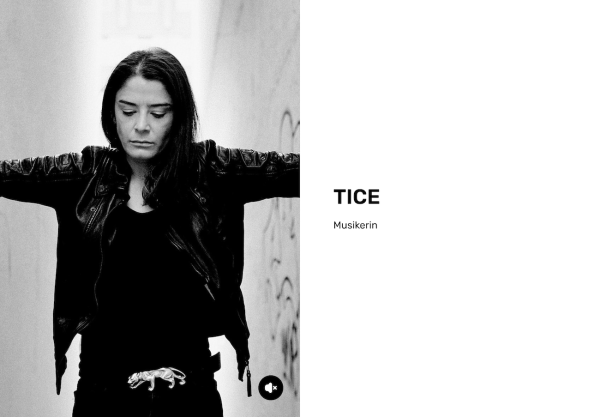 The header of Tice's musician page