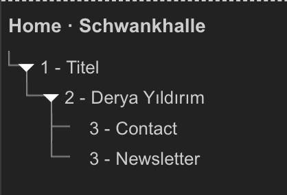 The home heading structure that has heading 1 as title, heading 2 Derya Yıldırım and heading 3 Contact and Newsletter.