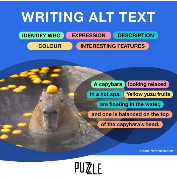 An infographic titled,