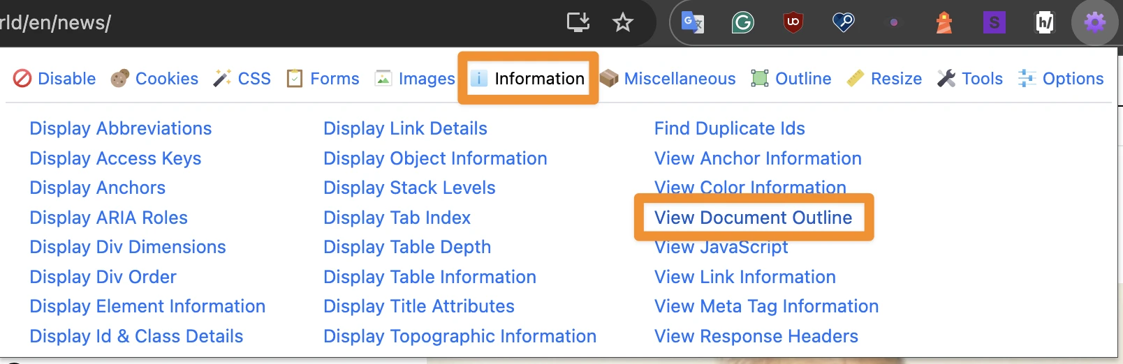 Web Developer extension menu with Information tab and View Document Outline highlighted in orange.
